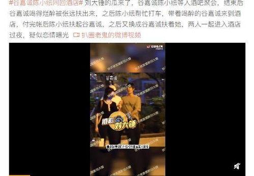 刘大锤最新爆料谷嘉诚,谷嘉诚背后惊人真相曝光！