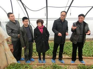 陕西咸阳最新爆料,揭秘咸阳历史文化新发现