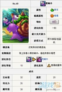 最新草系宠物爆料网站