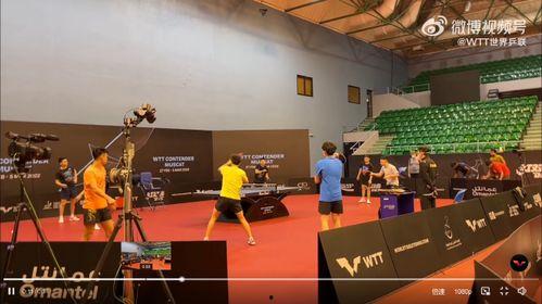 国乒男队爆料视频最新版,备战奥运背后的艰辛与荣耀